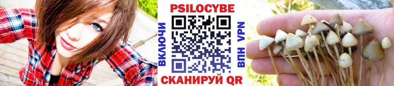 Галлюциногенные грибы мухоморы  Елизаветинская 